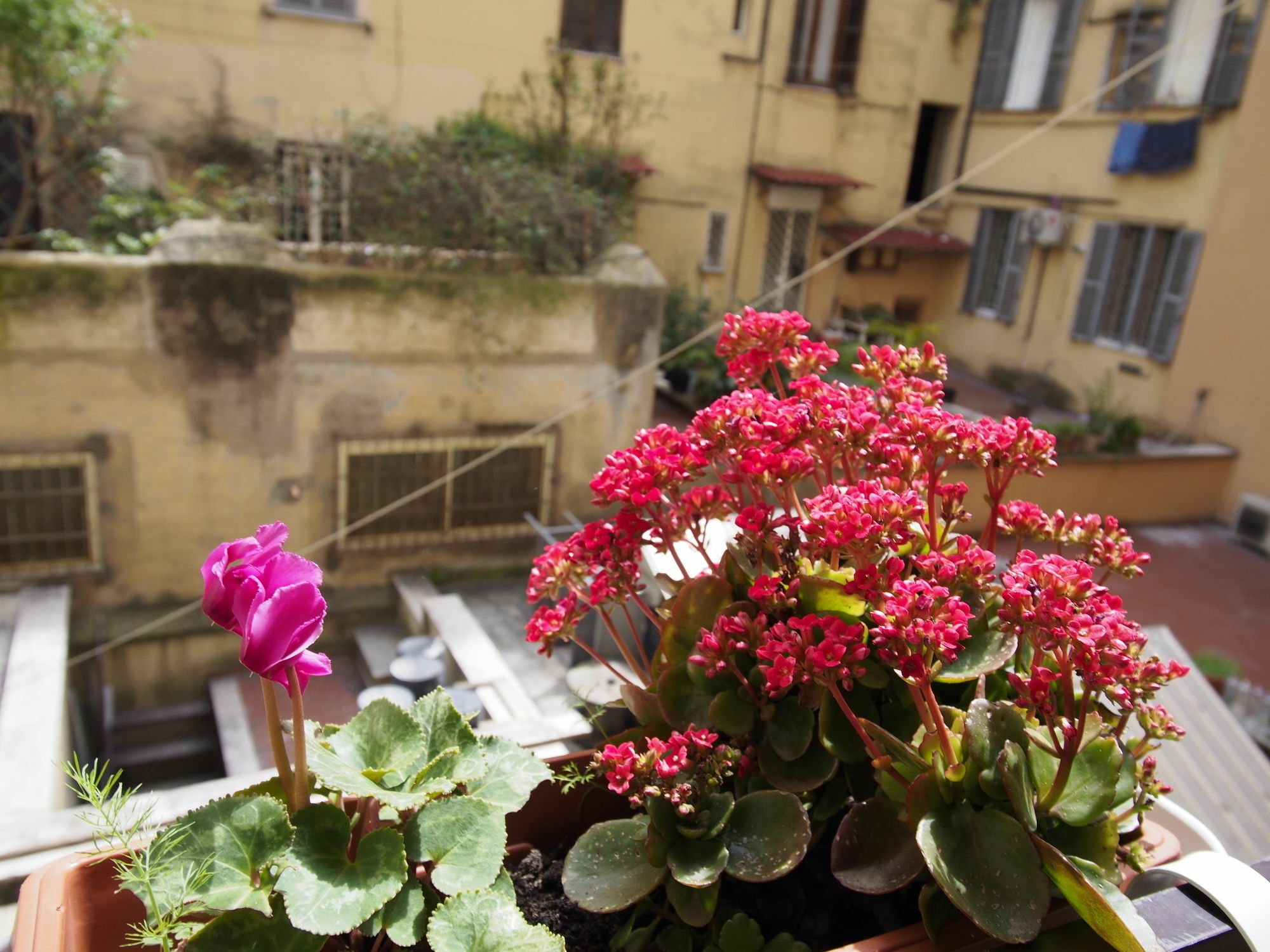 Palladini Hostel Roma Exterior foto